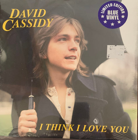 David Cassidy - I Think I Love You