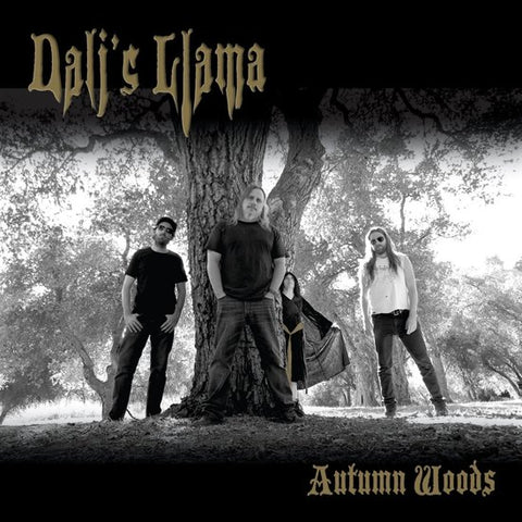 Dali's Llama - Autumn Woods