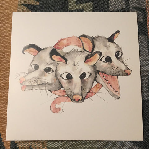 Opossums - Opossums