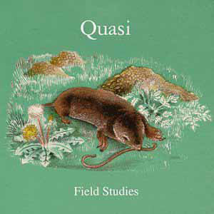 Quasi - Field Studies