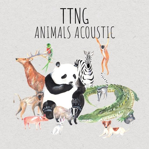 This Town Needs Guns - Animals Acoustic