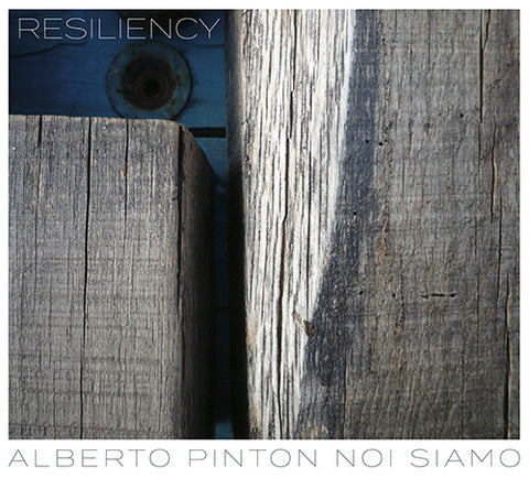 Alberto Pinton Noi Siamo - Resilency