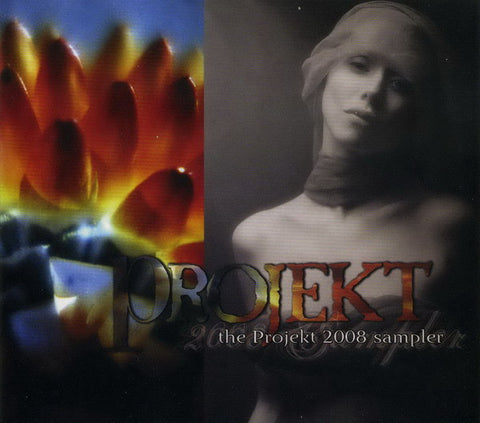 Various - The Projekt 2008 Sampler
