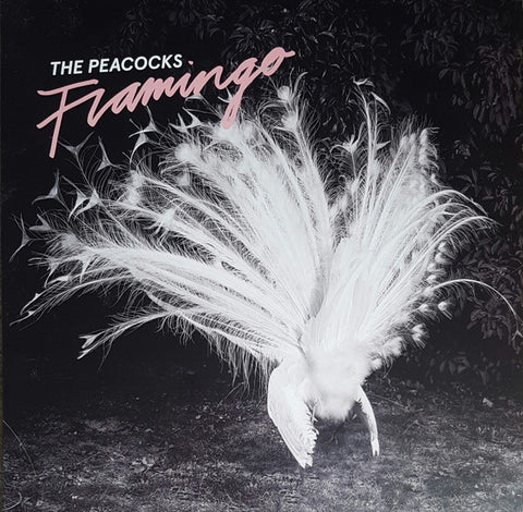 The Peacocks - Flamingo