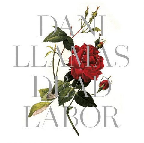 Dani Llamas - Dead Labor