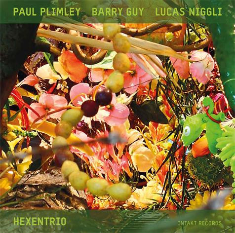 Paul Plimley, Barry Guy, Lucas Niggli - Hexentrio