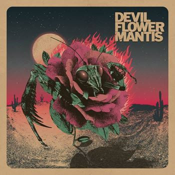 Devil Flower Mantis - Devil Flower Mantis