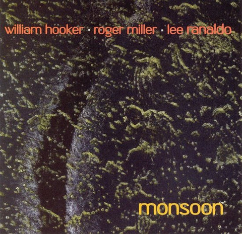 William Hooker • Roger Miller • Lee Ranaldo - Out Trios Volume One: Monsoon