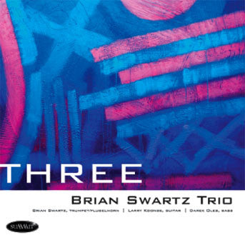 Brian Swartz Trio - Three