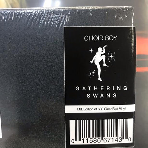 Choir Boy - Gathering Swans