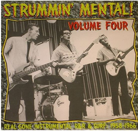 Various - Strummin' Mental! Volume 4
