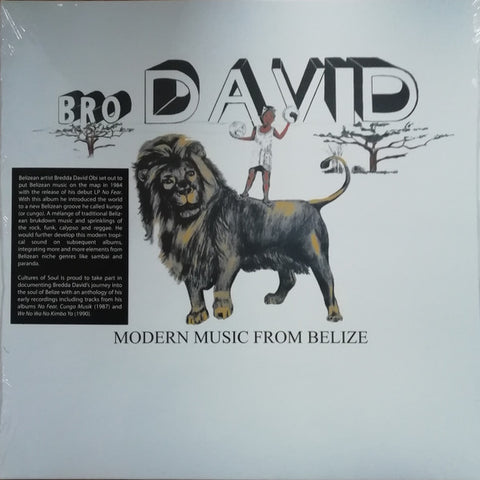 Bro David - Modern Music From Belize