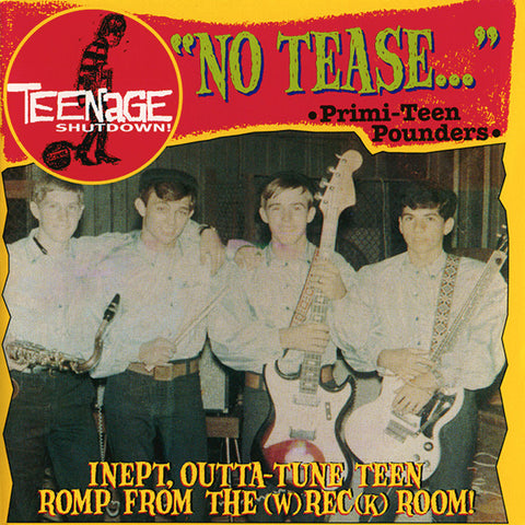 Various - Teenage Shutdown! - Vol. 12: 