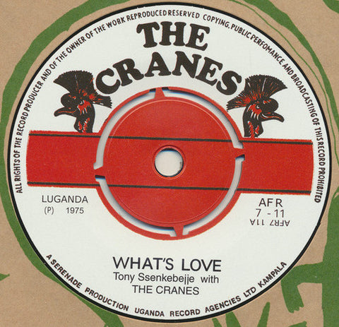 Tony Ssenkebejje With The Cranes - What's Love