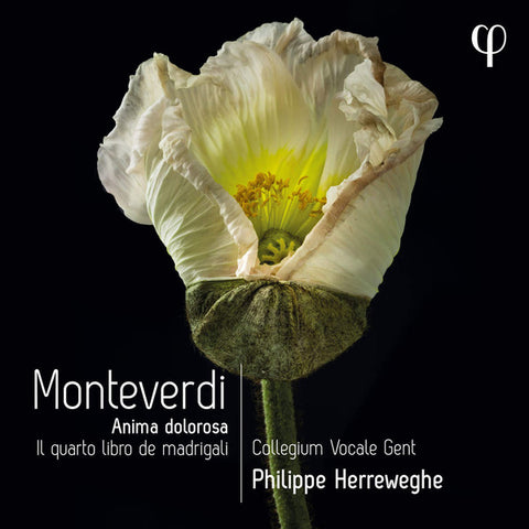 Monteverdi, Collegium Vocale Ghent, Philippe Herreweghe - Anima Dolorosa - Il Quarto Libro De Madrigali