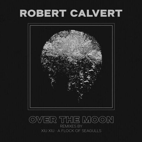 Robert Calvert - Over The Moon