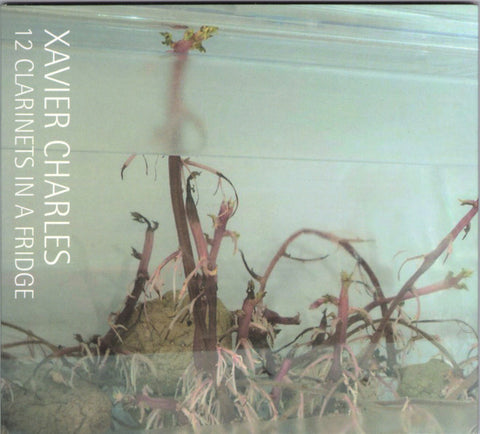 Xavier Charles - 12 Clarinets In A Fridge