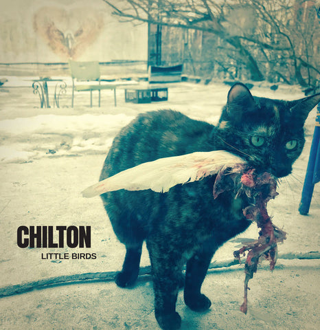 Chilton - Little Birds