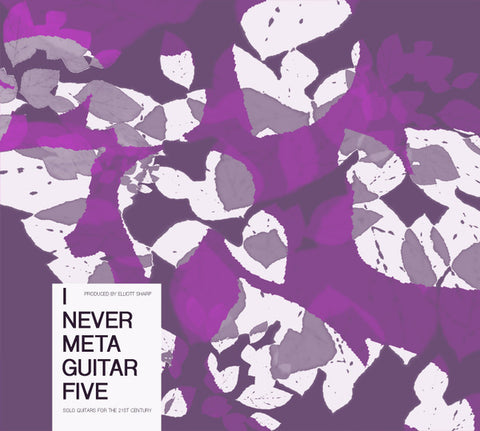 Various - I Never Metaguitar Five (Solo Guitars For The 21st Century)