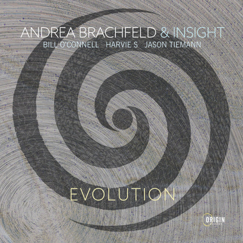 Andrea Brachfeld & Insight - Evolution