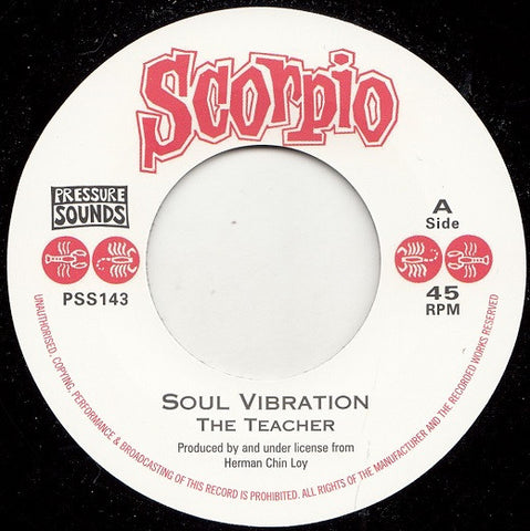 The Teacher - Soul Vibration