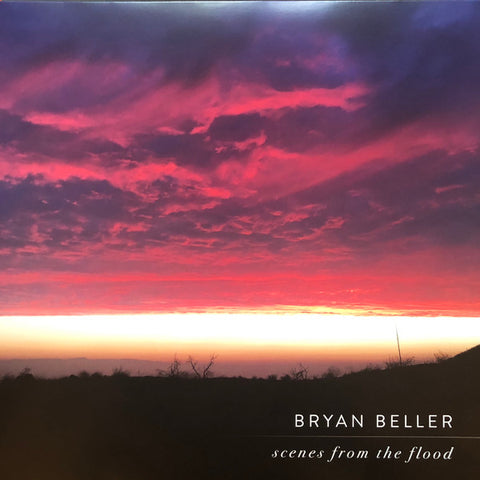 Bryan Beller - Scenes from the flood (Limited Edition)