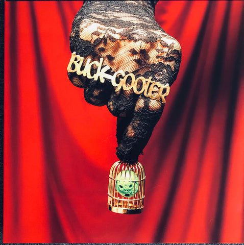 Buck Gooter - Head In A Bird Cage