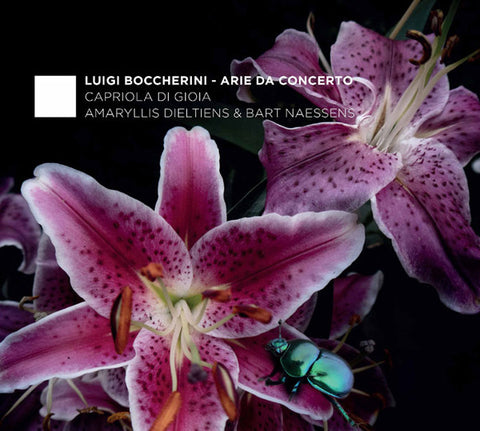 Luigi Boccherini, Capriola Di Gioia, Amaryllis Dieltiens & Bart Naessens - Arie Da Concerto