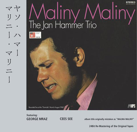 The Jan Hammer Trio Featuring George Mraz, Cees See - Maliny Maliny
