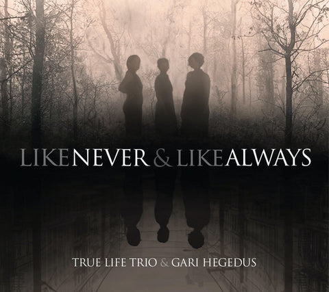 True Life Trio & Gari Hegedus - Like Never And Like Always