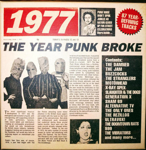 Various - 1977:  The Year Punk Broke