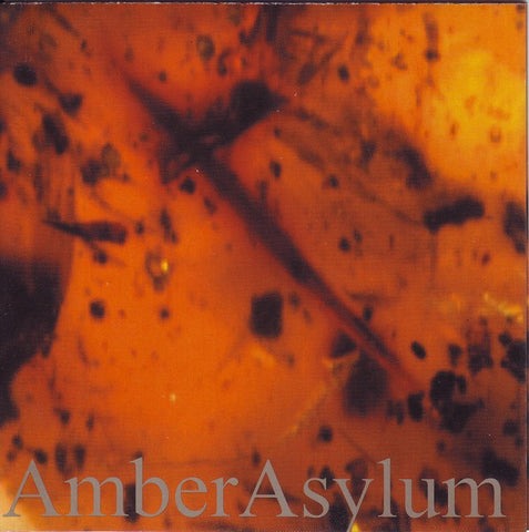 AmberAsylum - Frozen In Amber