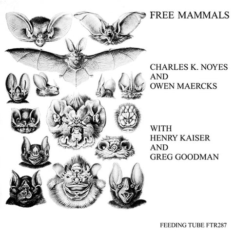 Charles K. Noyes And Owen Maercks With Henry Kaiser And Greg Goodman - Free Mammals