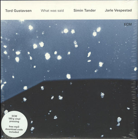 Tord Gustavsen - What Was Said