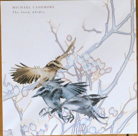 Michael Cashmore - The Snow Abides