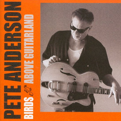 Pete Anderson - Birds Above Guitarland