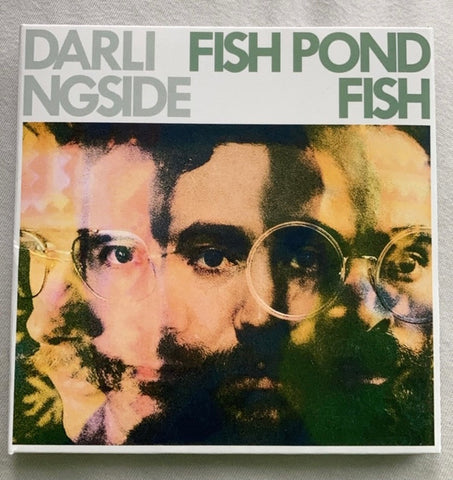 Darlingside - Fish Pond Fish