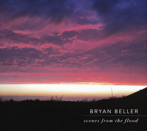 Bryan Beller - Scenes From The Flood