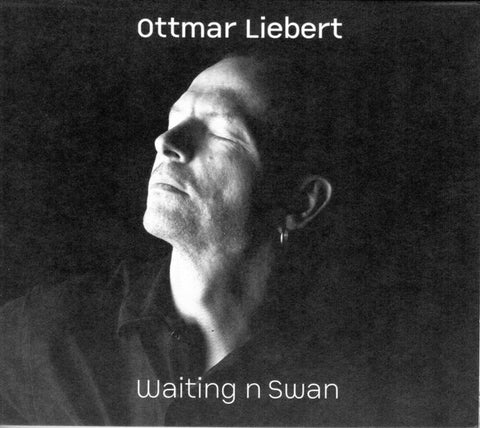 Ottmar Liebert And Luna Negra - Waiting N Swan