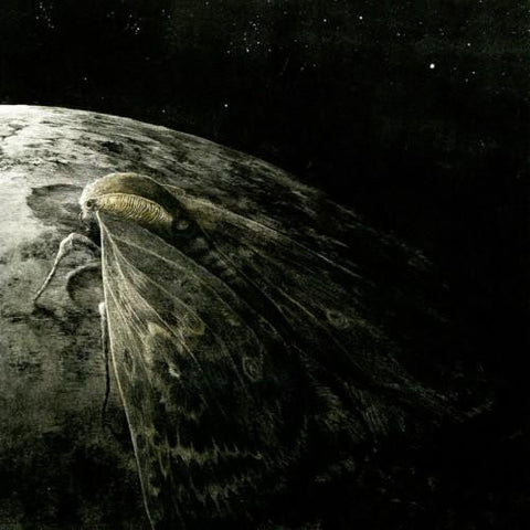 Augrimmer - Moth And The Moon