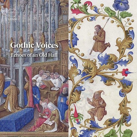 Gothic Voices - Echoes Of An Old Hall