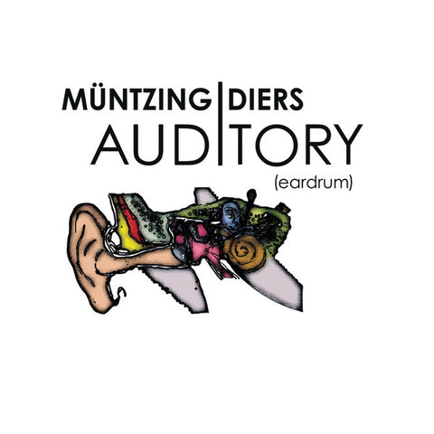 Müntzing | Diers - Auditory (Eardrum)