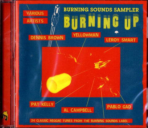 Various - Burning Up (Burning Sounds Sampler)