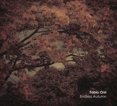 Fabio Orsi - Endless Autumn