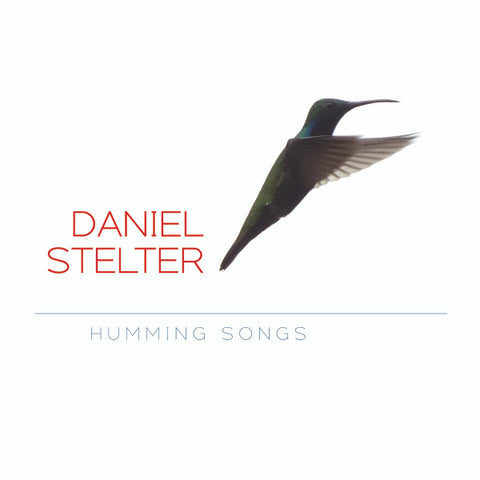 Daniel Stelter - Humming Songs