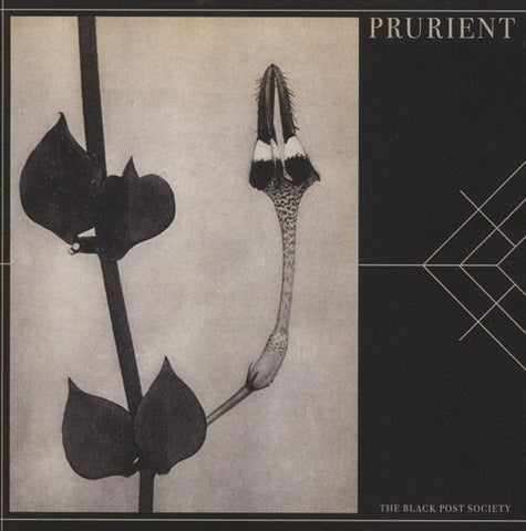 Prurient - The Black Post Society