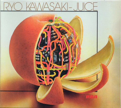 Ryo Kawasaki = 川崎燎 - Juice = ジュース