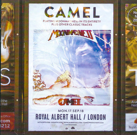 Camel - Live At The Royal Albert Hall