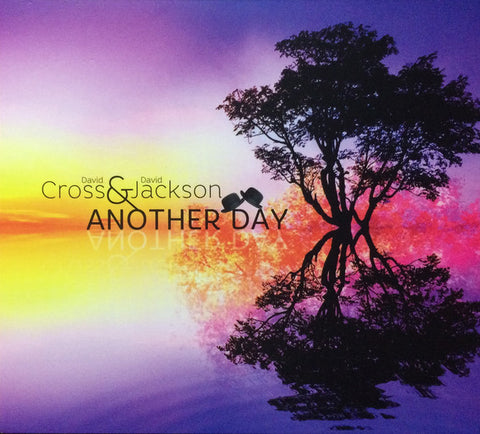David Cross & David Jackson - Another Day